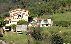 Retiro Na Natureza - Casa Com Piscina